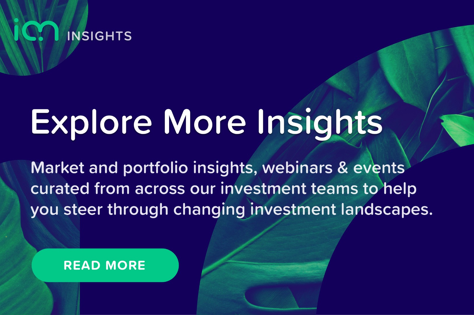 Explore More Insights